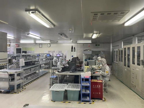 稅收激勵再發力 科技創新稅前扣除加碼，生物化工領域迎來研發投入新契機