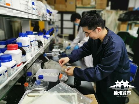 綠色科技新突破 揚(yáng)州大學(xué)研發(fā)環(huán)保生物藥劑，為植物健康保駕護(hù)航